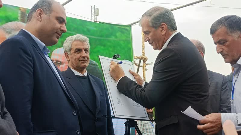 نخستین جشنواره برداشت برگ سبز چای در شهرستان لنگرود برگزار شد